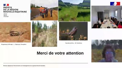 Webinaire DREAL espèces protégées 2025 - Dépôt des DDEP - DREAL Nouvelle-Aquitaine