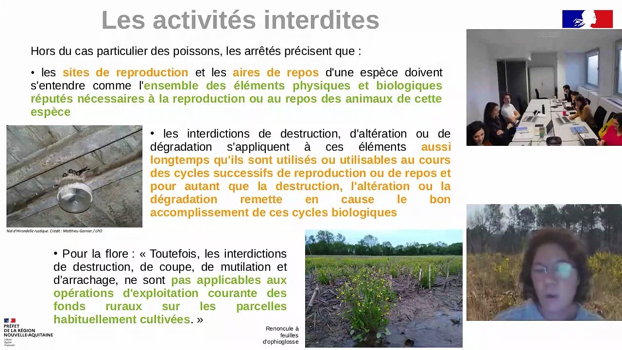 Webinaire DREAL espèces protégées 2025 - Réglementation Dérogation - DREAL Nouvelle-Aquitaine