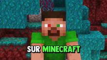 Devine le FAUX secret sur Minecraft 🤔