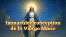 Immaculée Conception - Marie préservée du péché dès sa naissance (8 décembre)