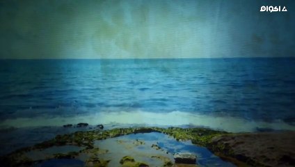 مشاهدة فيلم نزوح - اكوام