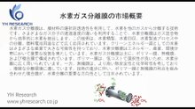 水素ガス分離膜の世界市場レポート2025-2031