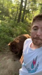 Spot The Fake Animal For _10_000