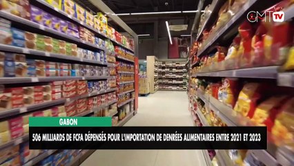 [#Reportage] Gabon : 506 milliards FCFA pour importer des denrées (2021-2023)