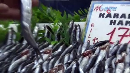 Tezgahlarda palamut yok, hamsi çok