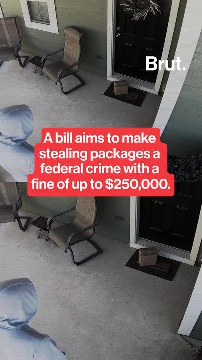 The Porch Pirate Act.