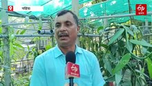 ১৮ হাজাৰ সামগ্ৰীত ব্যৱহাৰ হোৱা ভেনিলাৰ খেতিৰে লাভৱান এইখন অসমৰে এজন কৃষক