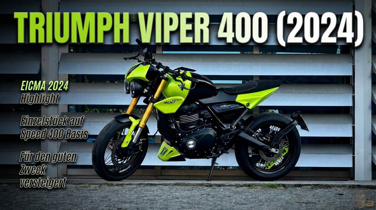 Speed 400 reloaded: Die Triumph Viper 400 ist mehr als nur ein Umbau