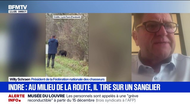 Tir sur un sanglier en bord de route: Ce sanglier, blessé, était menaçant pour les véhicules , déclare le président de la Fédération nationale des chasseurs