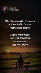 Immersion __ Acharya Prashant