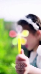 Fake Marriage, Real Love