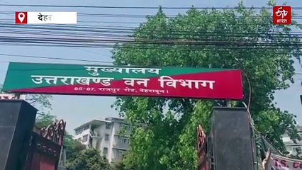 फारेस्ट फायर से पहले तैयारी की अग्निपरीक्षा, वन विभाग करेगा रेंज स्तर तक बड़ा सर्वे