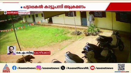 ബാലുശ്ശേരി കോളേജിൽ പട്ടാപ്പകൽ കാട്ടുപന്നി ആക്രമണം; അധ്യാപകൻ രക്ഷപെട്ടത് തലനാരിഴയ്ക്ക്