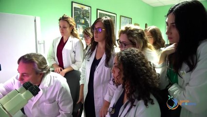 Malattia renale cronica, se ne parla oggi ad Agenda BenEssere con il prof. Domenico Santoro