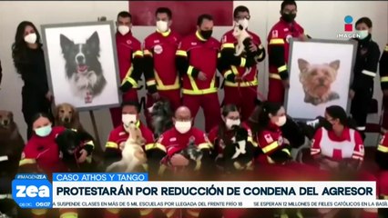 Caso Athos y Tango: Tribunal reduce condena en contra del agresor