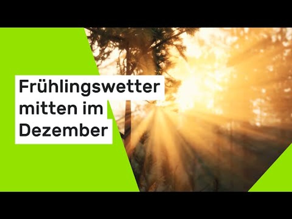 Frühlingswetter mitten im Dezember