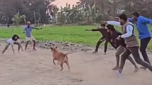 Kabaddi game