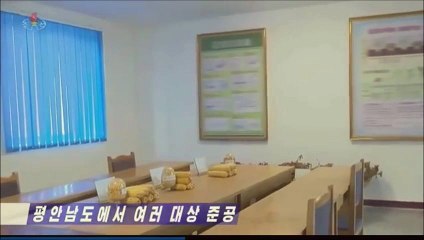 Várias inaugurações na província de Pyongan Sul