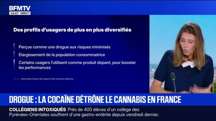 Drogue: comment la cocaïne a détrôné le cannabis en France?