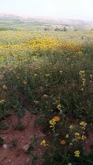 #reels tidili massfioua morocco