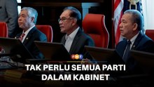 Anwar tidak perlukan semua parti kerajaan berada dalam Kabinet, kata penganalisis