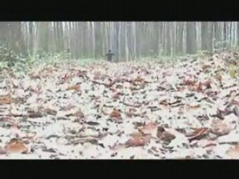le dernier brouceli