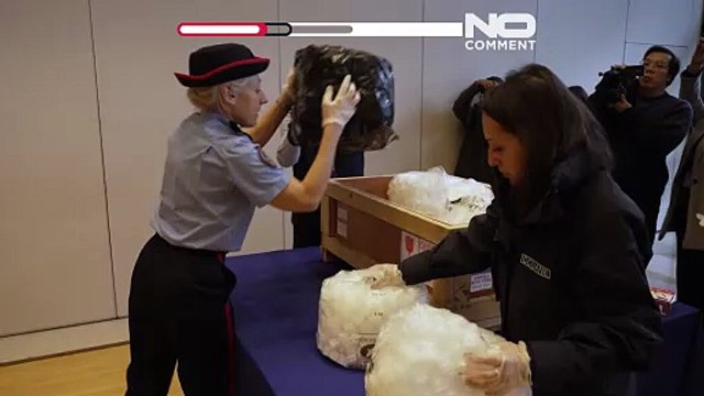 France returns 70-million-year-old dinosaur fossils to Mongolia