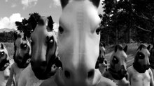 Zu verstörend für Steam & Epic: Der Trailer zum Skandal-Horror Horses