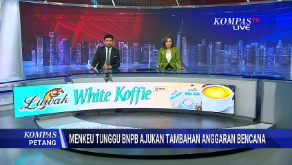 Usut Pembalakan Hutan Sumatera: Kemenhut Identifikasi 12 Subyek Hukum, KLH Panggil 8 Perusahaan