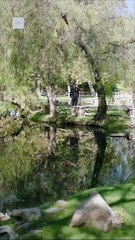 American Sniper The Last Round