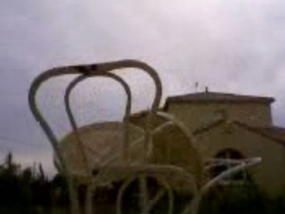 shoot in garden 2