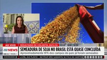 Mariana Grilli: Safra de soja 2025/26 chega à reta final no Brasil