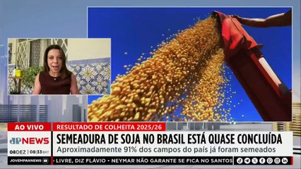 Mariana Grilli: Safra de soja 2025/26 chega à reta final no Brasil