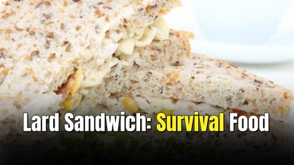 12 Childhood Sandwiches That Hit Different Than Today’s Gourmet Wraps