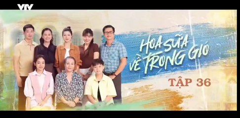 Hoa Sữa Về Trong Gió - tập 36 - HP Media