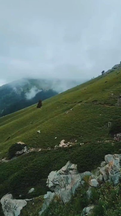 the most beautiful national park home of Musk deer