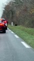 Un chasseur tire sur un sanglier au milieu d'une route, devant de nombreux automobilistes
