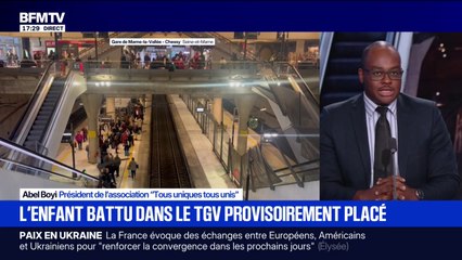 Enfant battu dans le TGV: après avoir été interpellée et placée en garde à vue, la mère devra faire un stage de responsabilité parentale