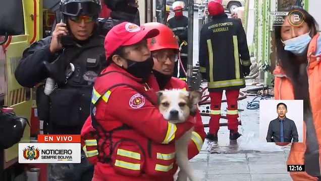 Doggy es una de las dos mascotas afectadas por el incendio en un edificio de la calle Sagárnaga, La Paz