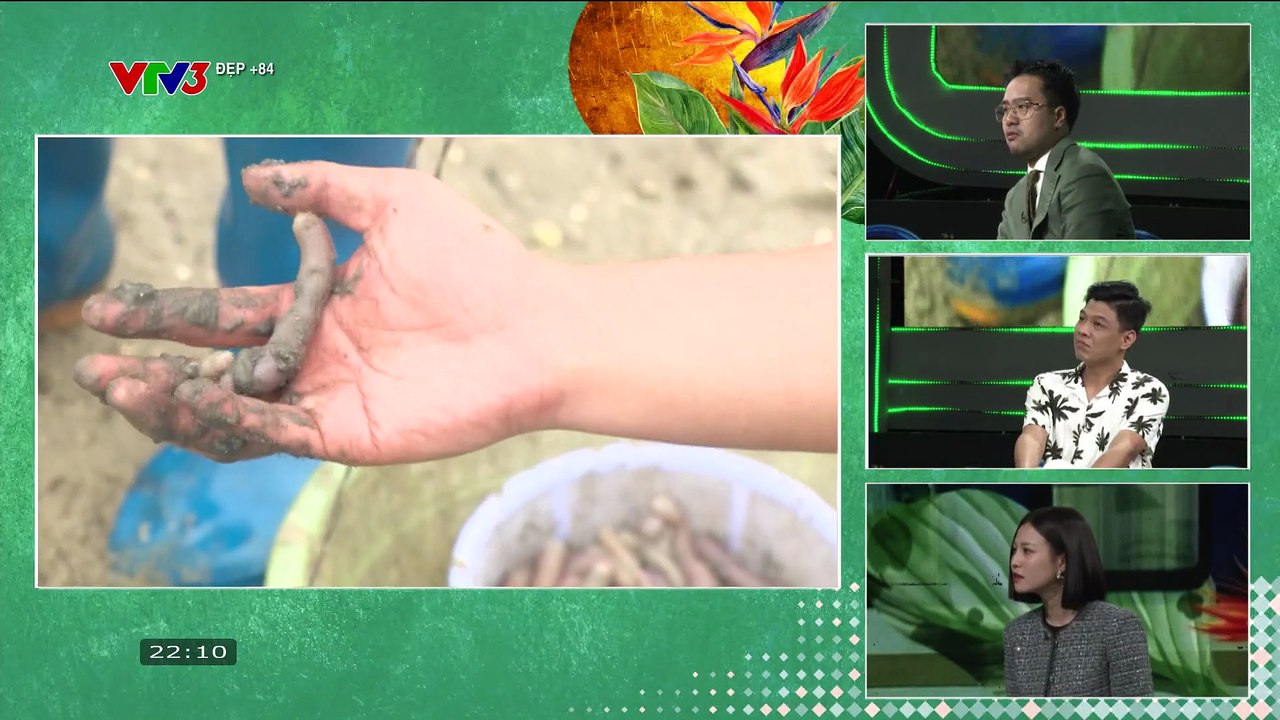 VTV3 - Đẹp +84 - Số 201 (08/12/2025) [FULL]