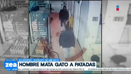VIDEO: Hombre patea a gatito hasta arrebatarle la vida