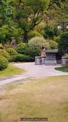 Daddy  You re Out  All Episodes - ReelShort - #abel #shortfilm - #abel