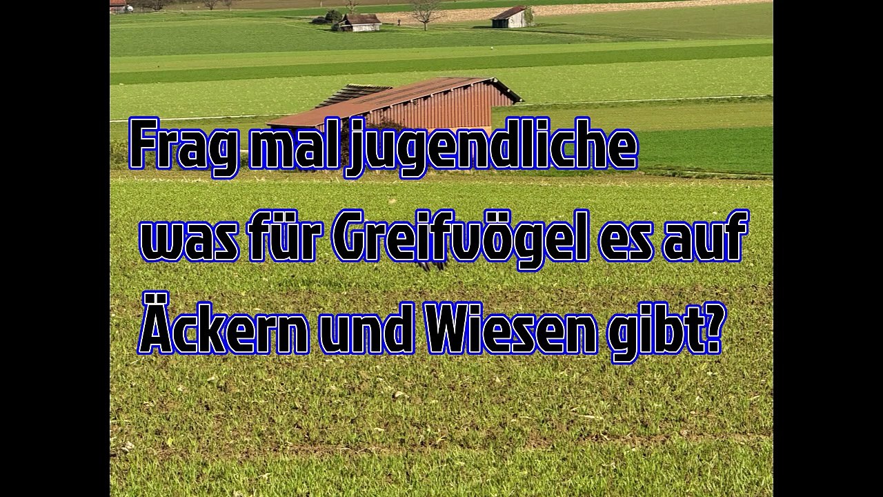 Die wissen das nicht einmal