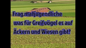 Die wissen das nicht einmal