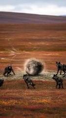 a65ec7e76c8f3c94532187510aa83974