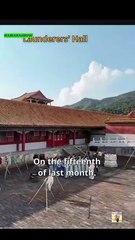 The Empress's Forbidden Twins