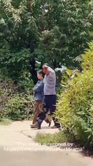 System On Starvation Not on My Watch! #shortfilm