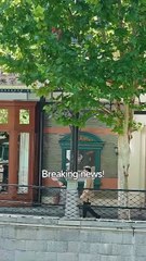 Absolute Power - The Day He Returned Hot