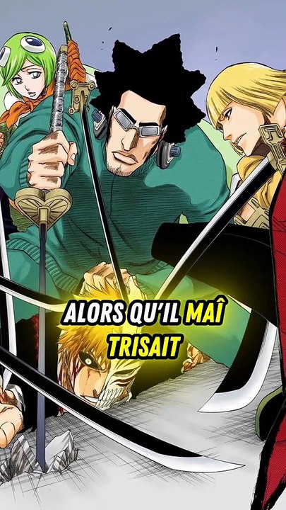 Les vizards sont des fraudes?