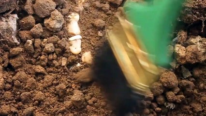 6 of the most important archaeological finds of 2018